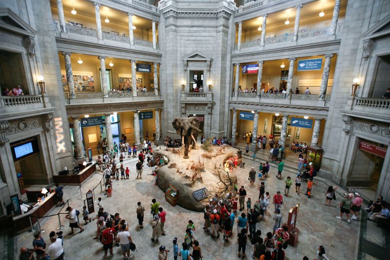 The Smithsonian Museums