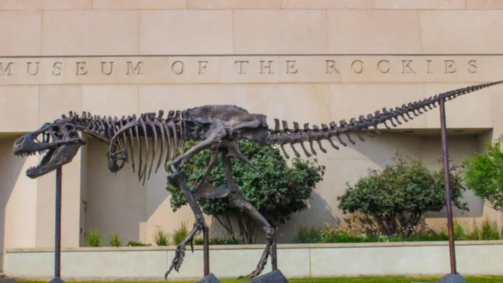 Great food, outdoor adventure, and Yellowstone next door make Bozeman, Montana a favorite stop in Big Sky Country