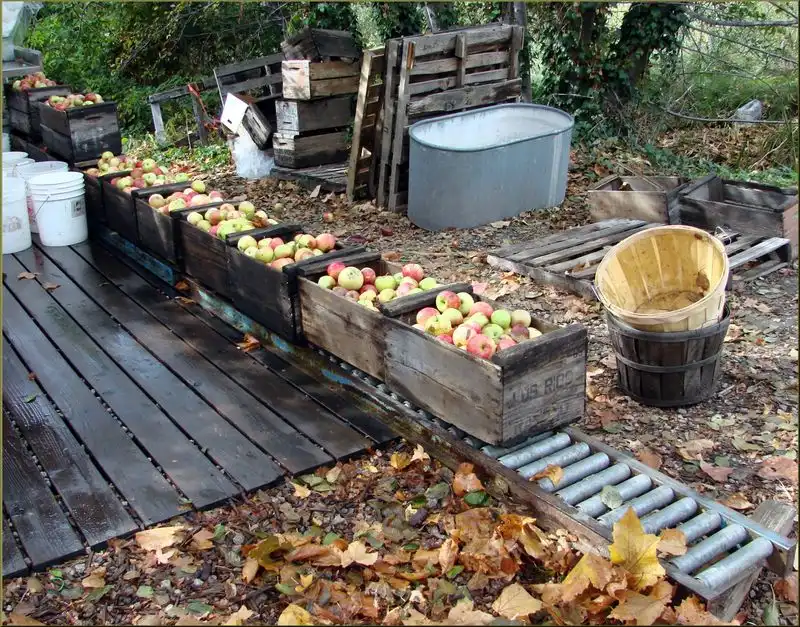 Riley's Farm