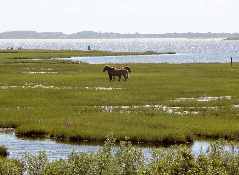 Assateague State Park – Maryland