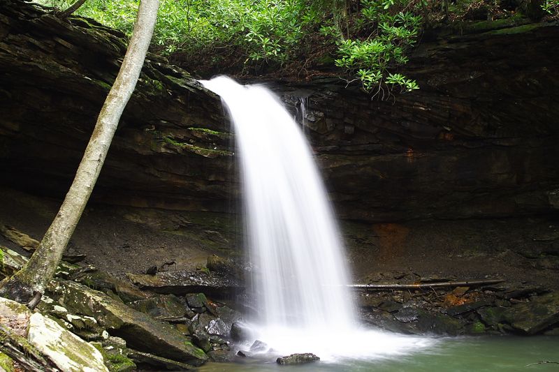 Twin Falls Resort State Park