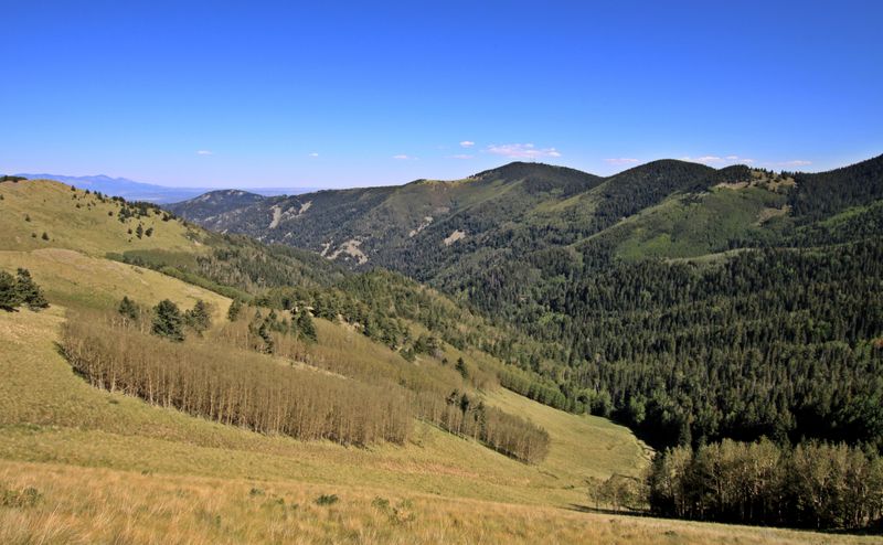 Lincoln National Forest