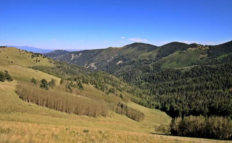 Lincoln National Forest