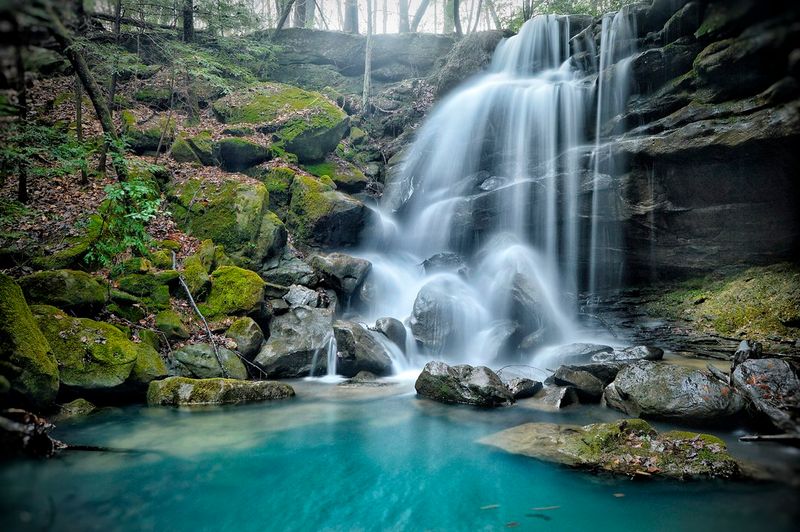 Bankhead National Forest