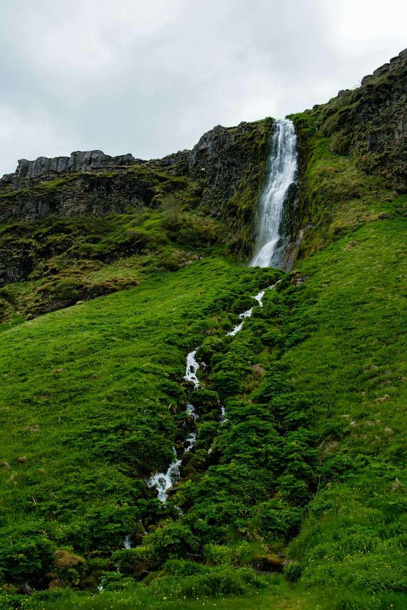 Seljalandsfoss
