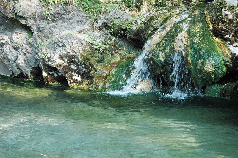 Springs