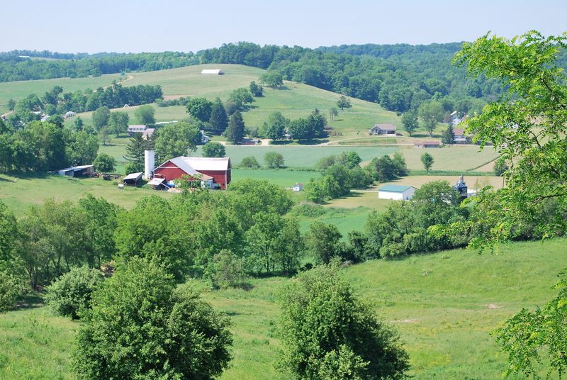 Local Farms and Markets