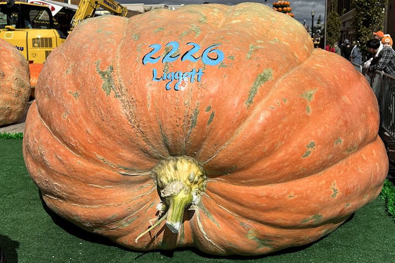 Circleville Pumpkin Show