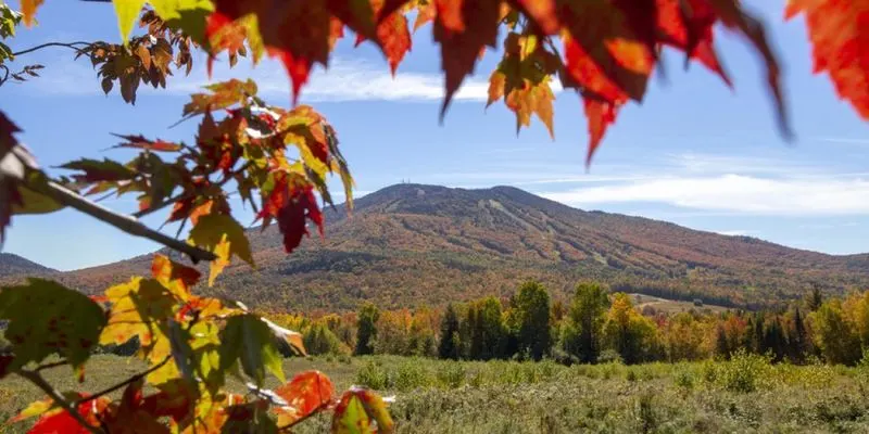 Burke Fall Foliage Festival