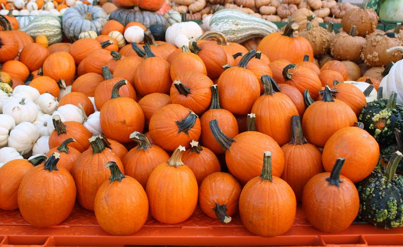 Circleville Pumpkin Show – Circleville, Ohio