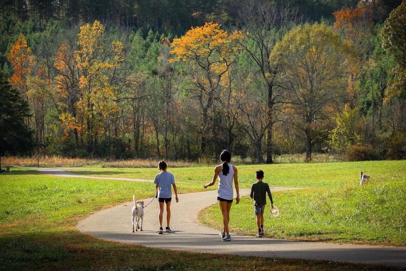 Lake Norman State Park — Lakeshore/Short-Loop Trails (Iredell County, near Charlotte)