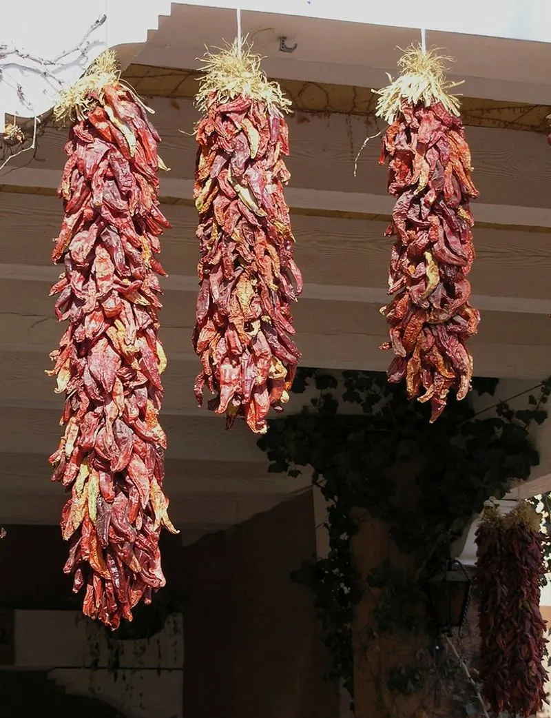 The Allure of Chile