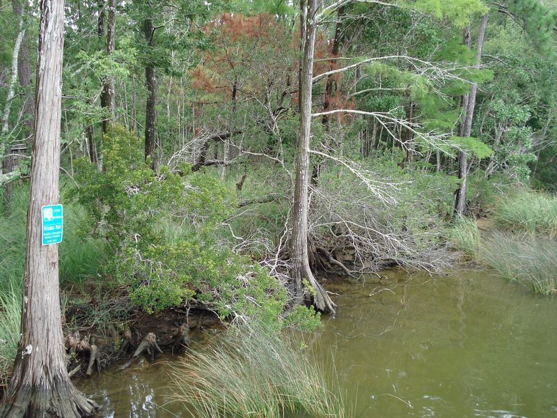 Weeks Bay National Estuarine Research Reserve