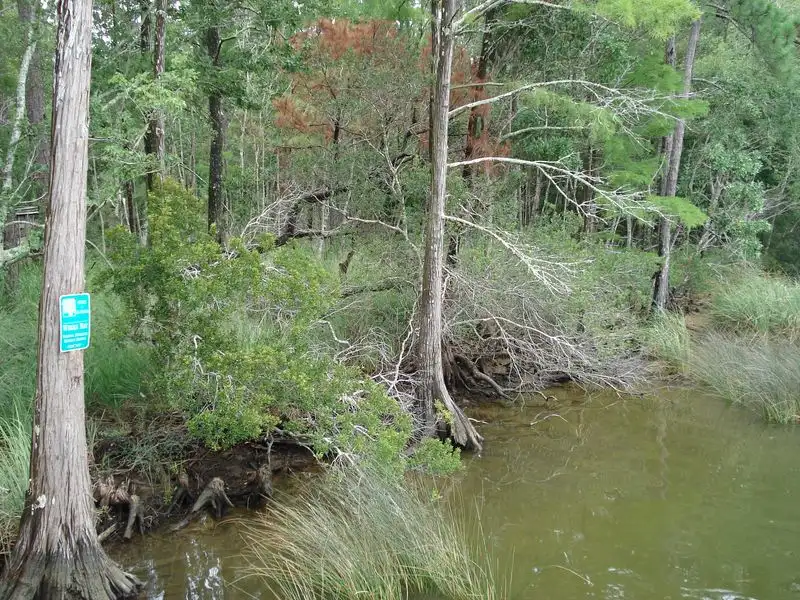 Weeks Bay National Estuarine Research Reserve