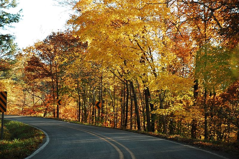 Scenic Drives on the Pig Trail Byway