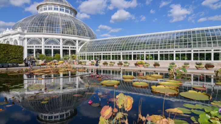 Historic U.S. Botanical Gardens Still Blooming After a Century
