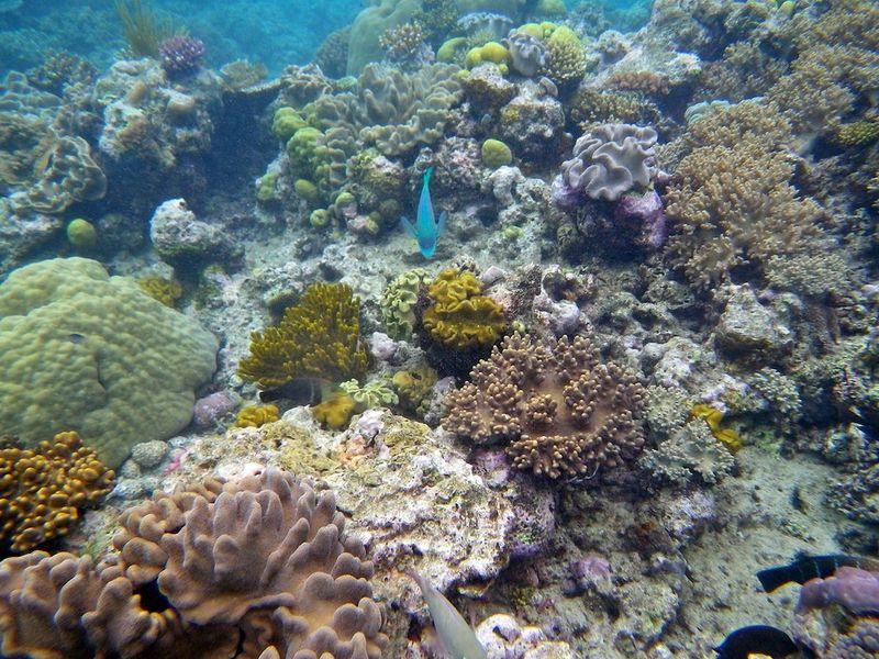 Cairns, Queensland