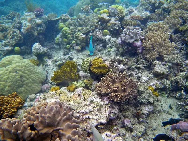 Cairns, Queensland