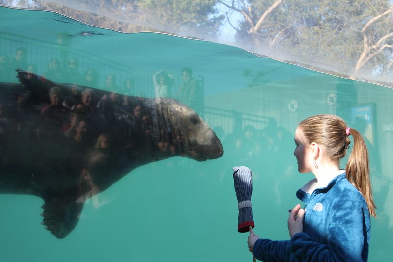 The Adventure Aquarium