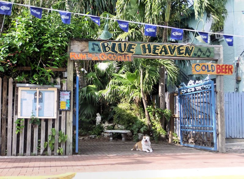 Blue Heaven – Key West