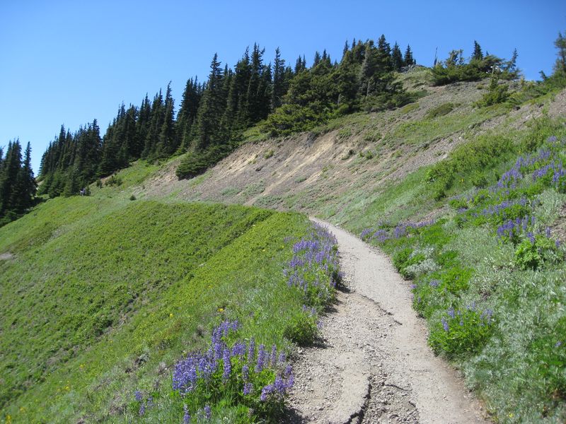 Hurricane Hill