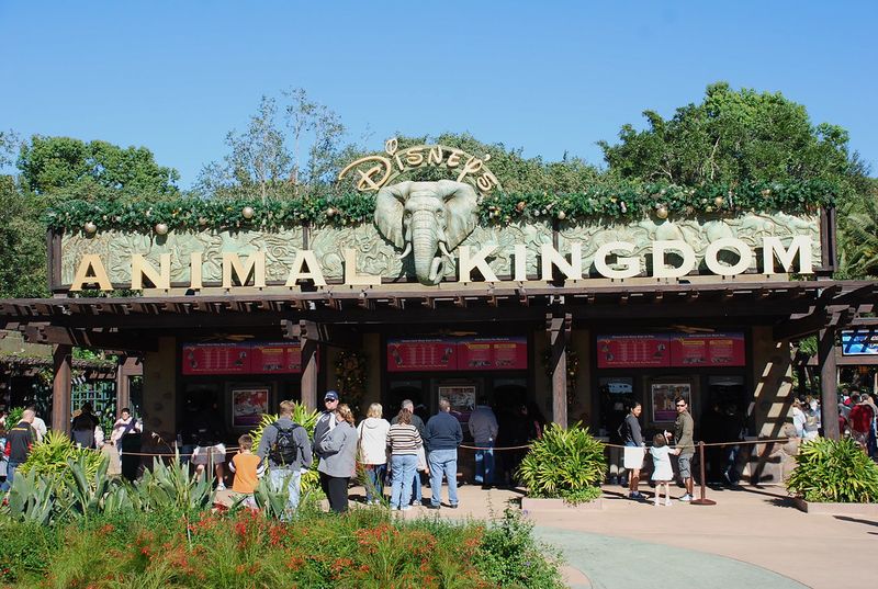 Animal Kingdom