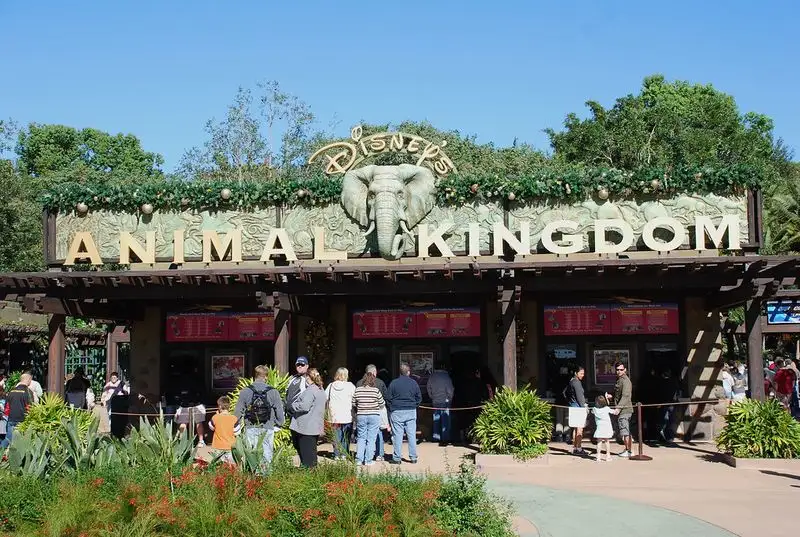 Animal Kingdom