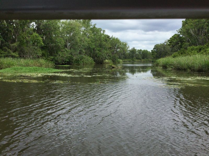 Waccamaw River Tours