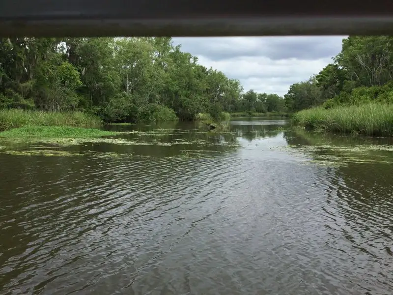 Waccamaw River Tours