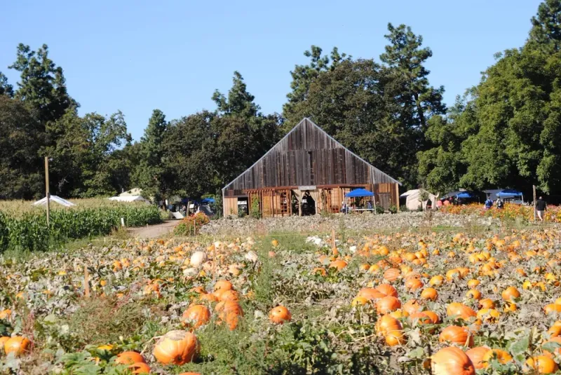 Ashland, Oregon – Fall Harvest Festival