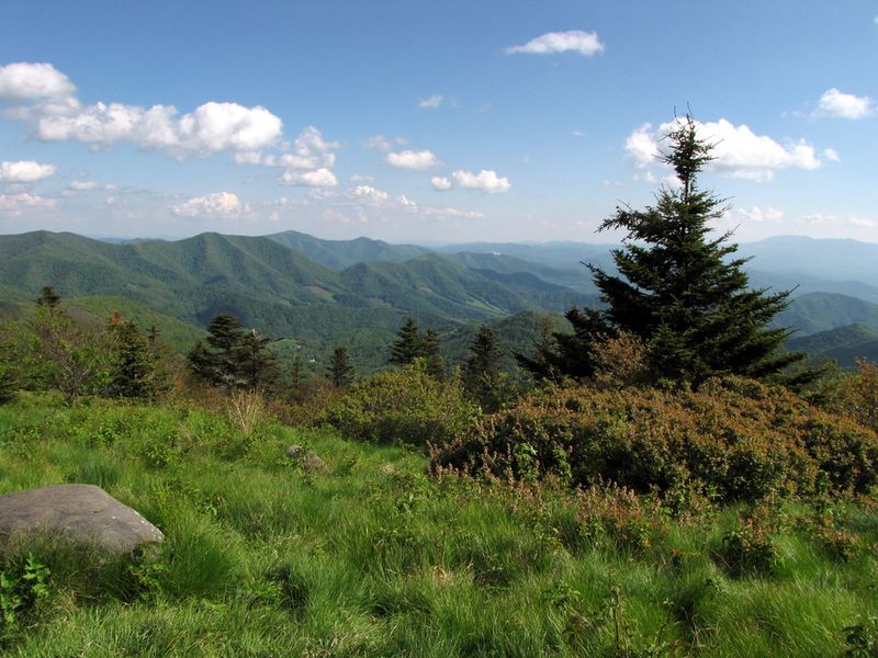 Social Isolation in Remote Areas