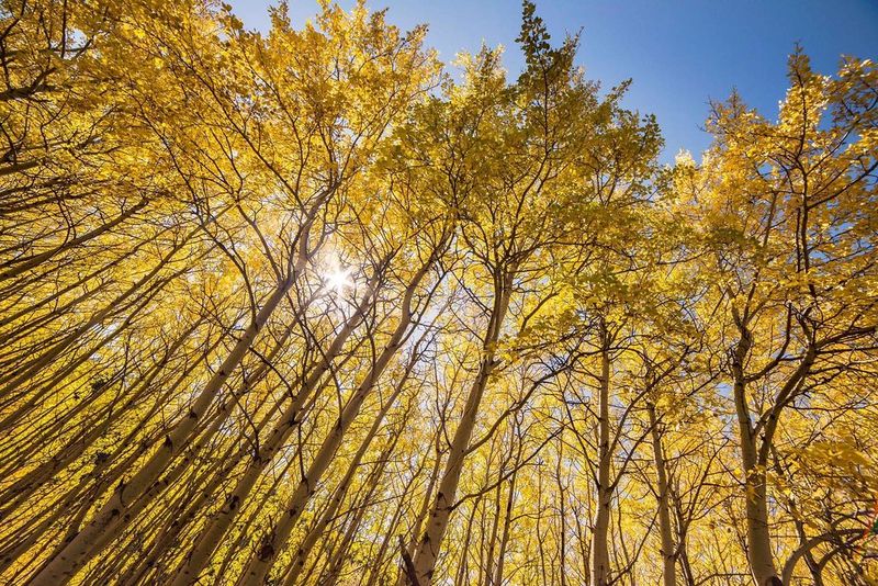 Plan Your Visit Around the Seasons
