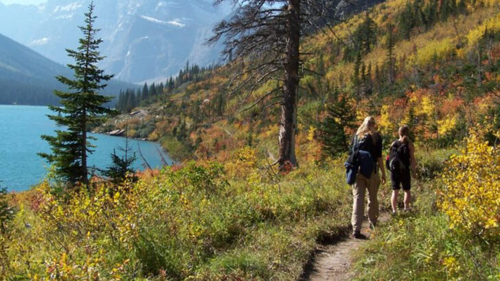 How to Make the Most of Your Trip to Glacier National Park