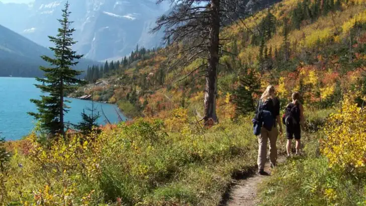 How to Make the Most of Your Trip to Glacier National Park