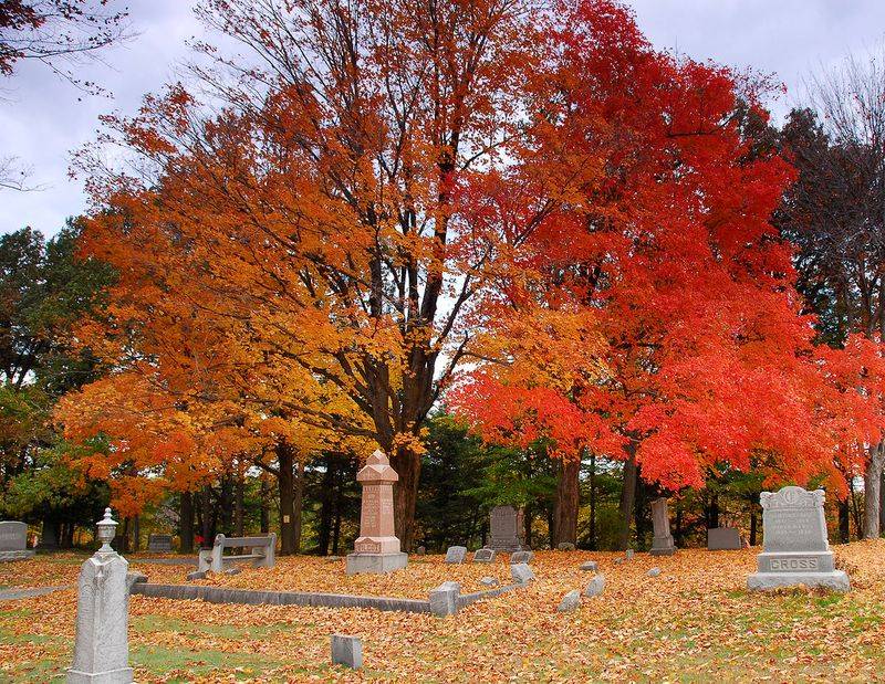 Plan Around Peak Foliage Season