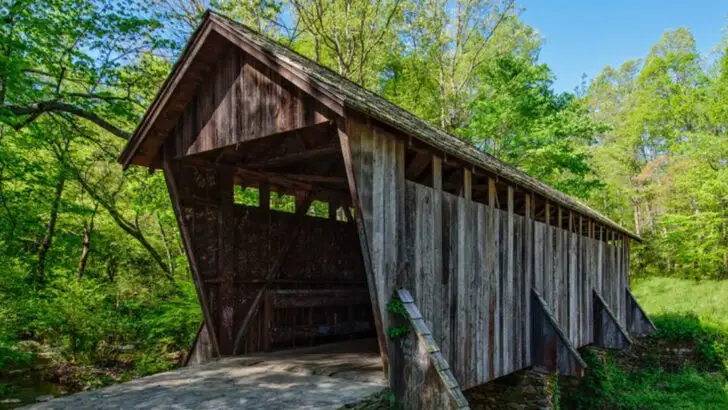 How to spend a day trip in Asheboro North Carolina home to the world’s largest zoo