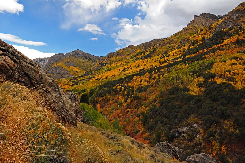 Lamoille Canyon