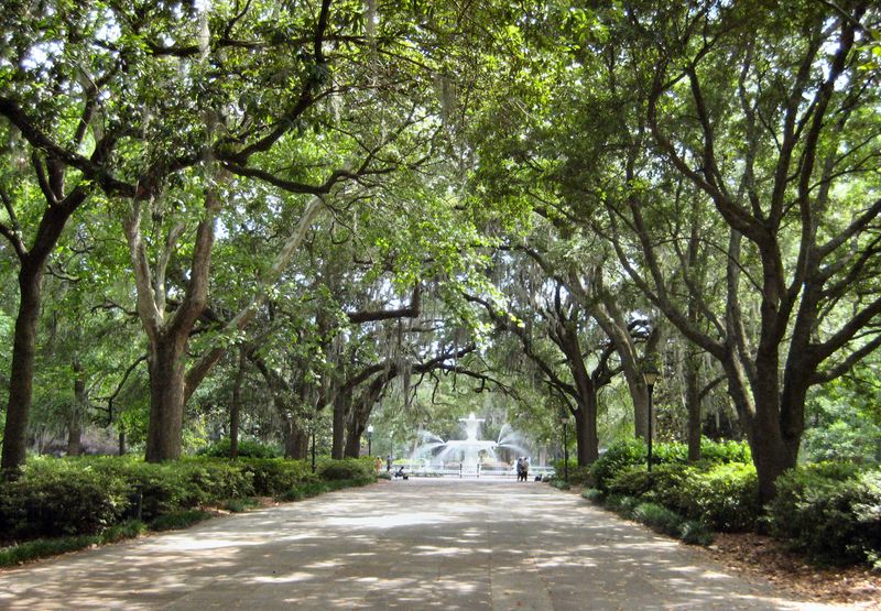 Savannah's Forsyth Park