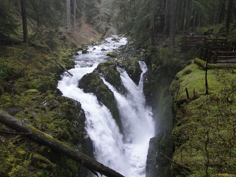 Sol Duc Falls Trail