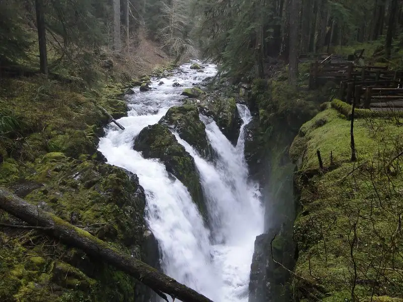 Sol Duc Falls Trail