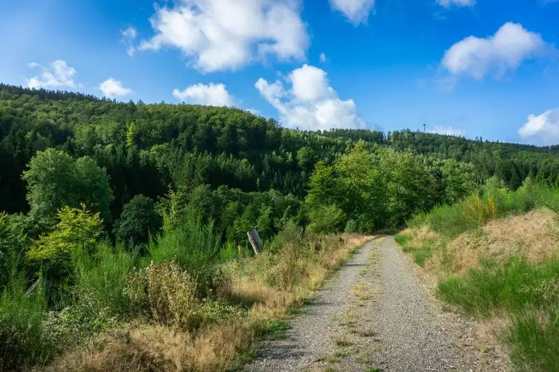 No Trail Research = Instant Regret