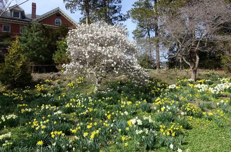Smith College and Botanic Garden