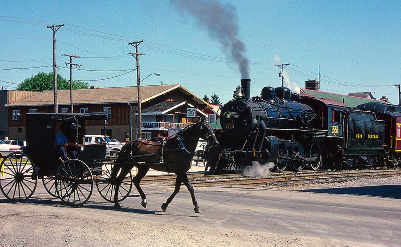 Horse-Drawn Buggy Rides