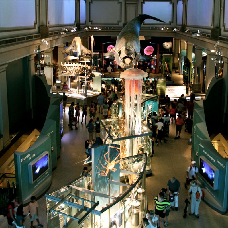 Ocean Hall