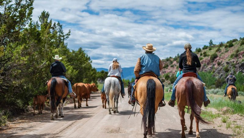 Hidden Hollow Hideaway Cattle & Guest Ranch – Townsend, MT