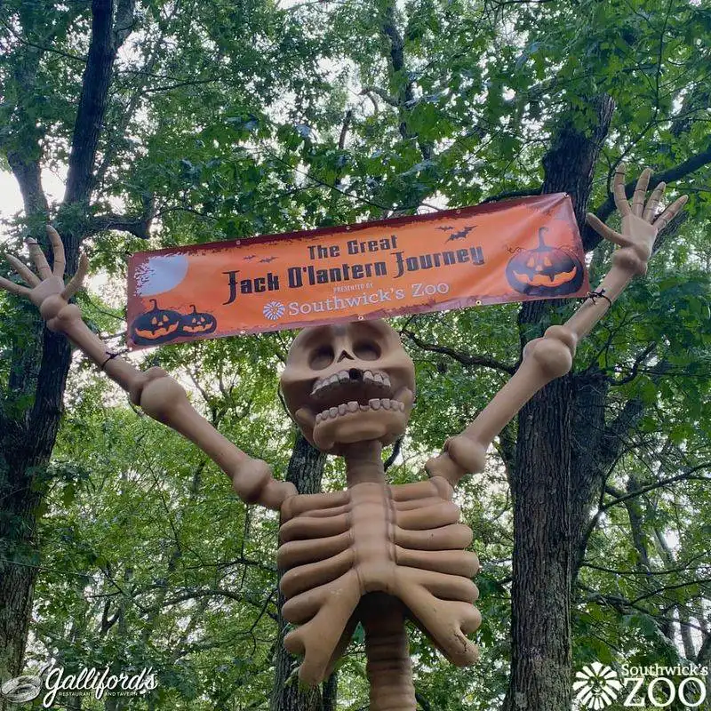 The Great Jack O’Lantern Journey (Southwick’s Zoo)