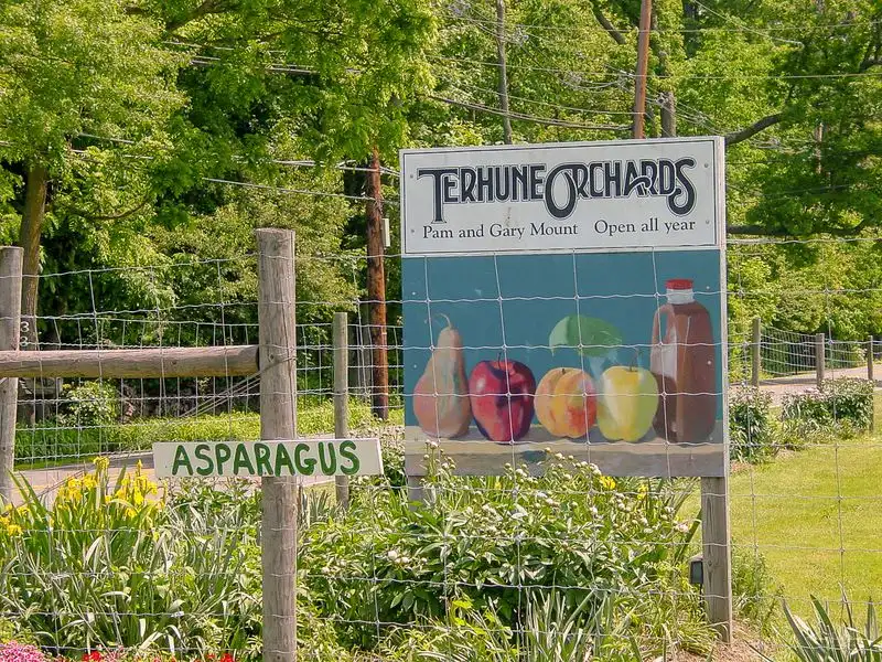 Terhune Orchards