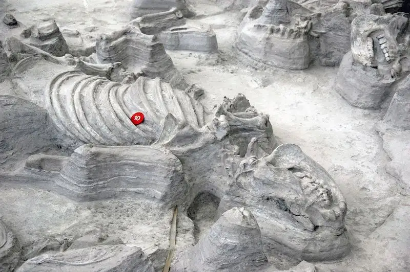 Ashfall Fossil Beds State Historical Park