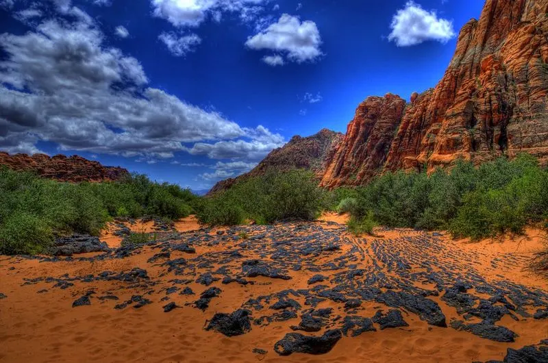 July: Family Camping