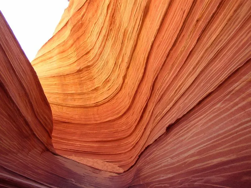 The Wave